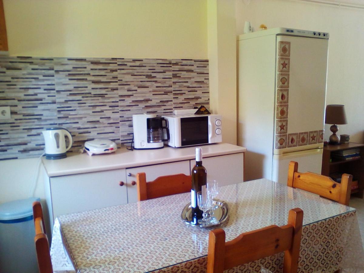 Galini Apartment Митикас Екстериор снимка